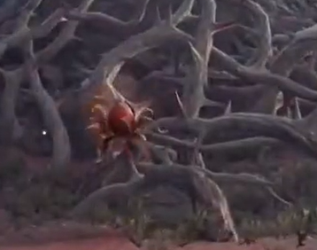 永劫无间沙魔芋长什么样1