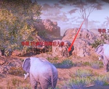 神佑释放坐骑抓捕攻略?3