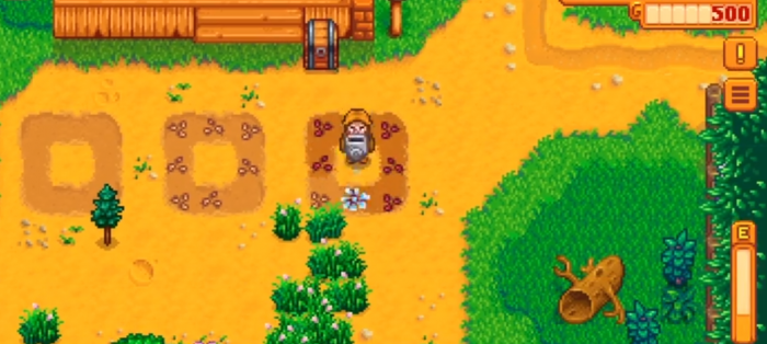 星露谷物语新手前期怎么种地3