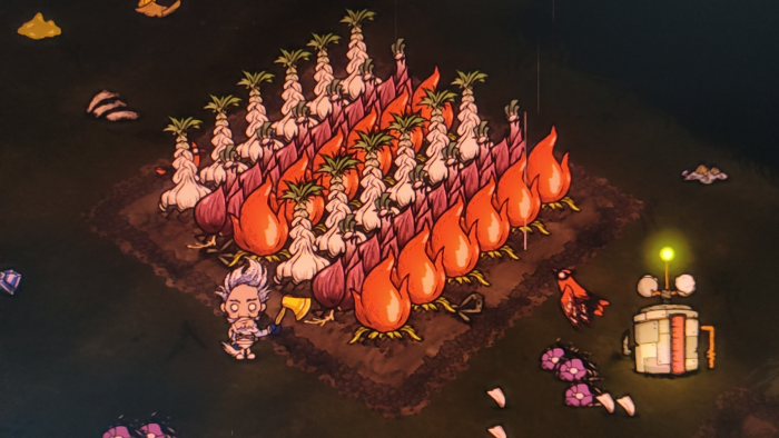 饥荒联机版什么作物性价比高1