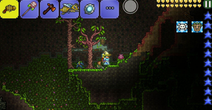 泰拉瑞亚花苞一般在哪些地方2