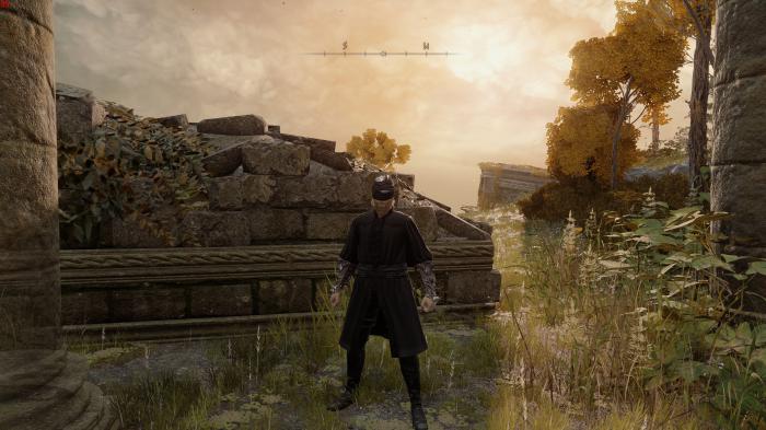 艾尔登法环前期套装用哪个最好1