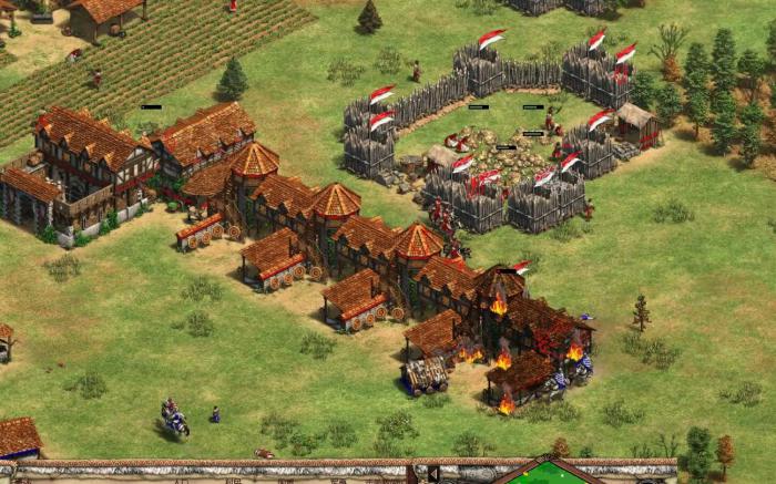 帝国时代2羊一般都在哪里1