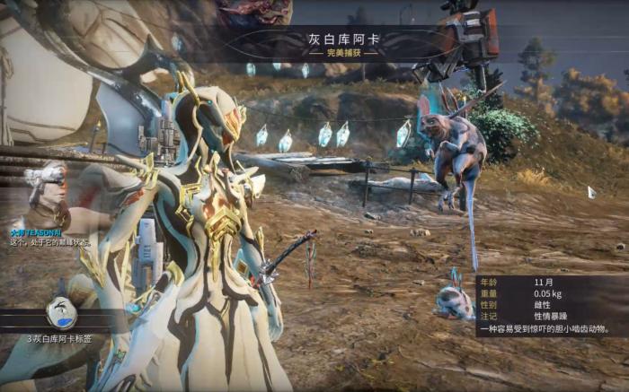 星际战甲地球动物怎么抓4