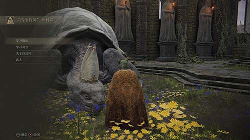 艾尔登法环乌龟老师剧情是什么1