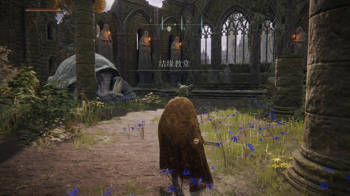 艾尔登法环乌龟老师剧情是什么4