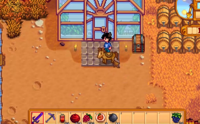 星露谷物语海莉暗室怎么选3