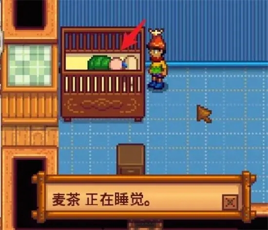 星露谷物语两个玩家怎么生孩子4