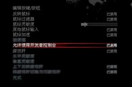 求生之路2怎么开启控制台模式3