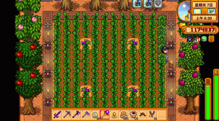 星露谷物语第二年夏天种什么2