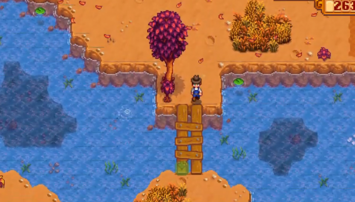 星露谷物语海莉什么时候去沙滩1