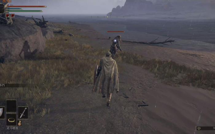 艾尔登法环勇者怎么加点3