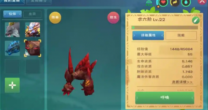 创造与魔法酷酷狗和松鼠哪个好2