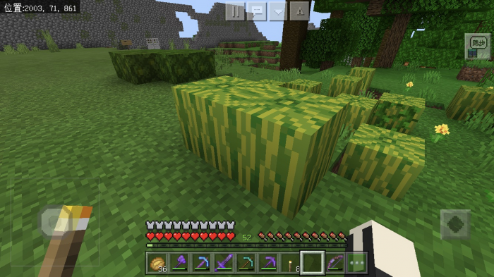 我的世界西瓜有什么用1