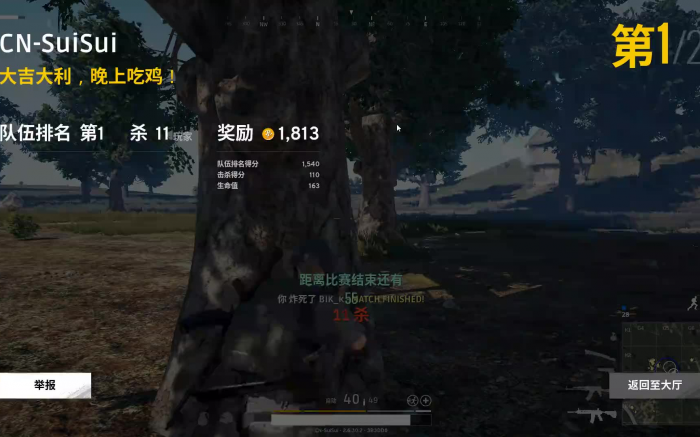 绝地求生怎么10个人排1