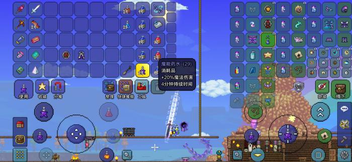 泰拉瑞亚法师毕业用什么饰品1