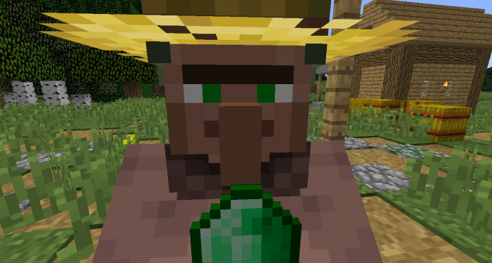 我的世界如何放置村民1