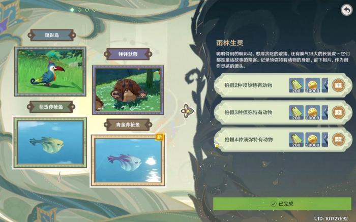 原神遍览深林怎么玩1