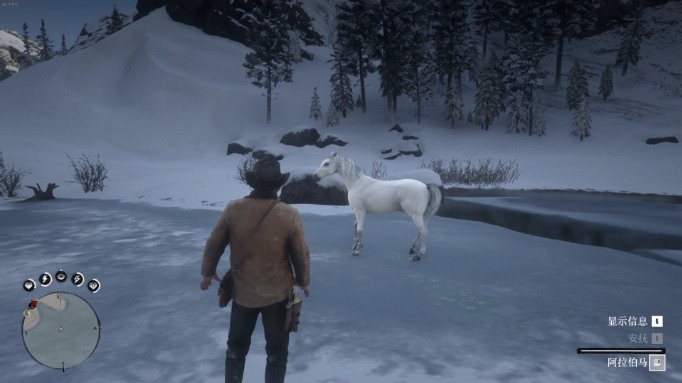 荒野大镖客2白阿拉伯马怎么抓2