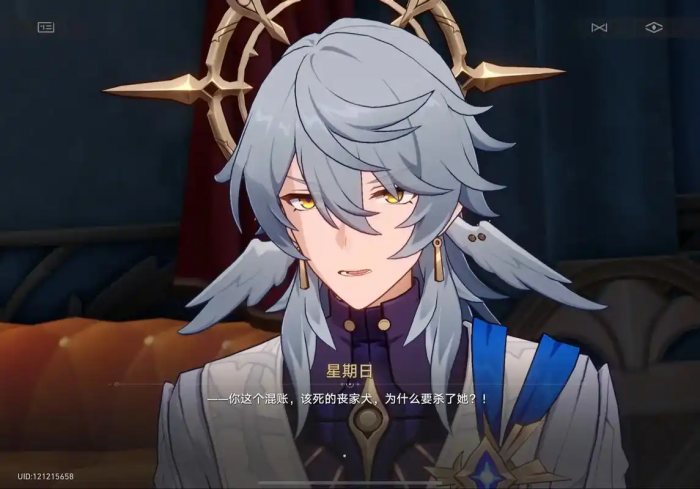 崩坏星穹铁道星期日怎么样3