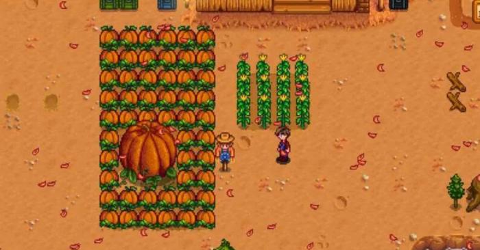 星露谷物语南瓜和葡萄有哪些差异1