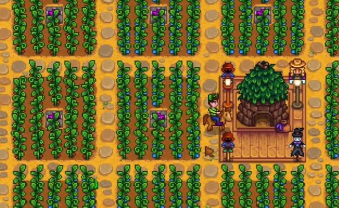 星露谷物语上古水果有哪些属性1