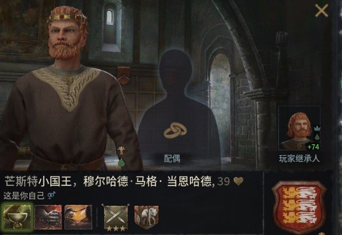 十字军之王3新手怎么玩2