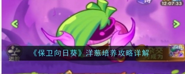 保卫向日葵洋葱怎么培养1