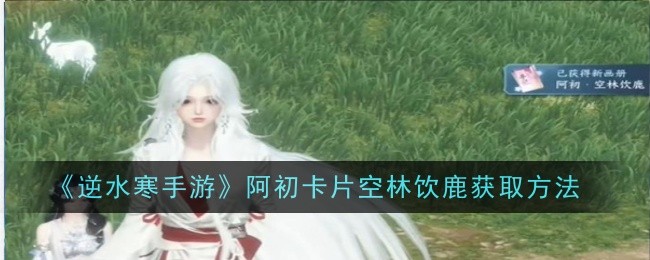 逆水寒手游阿初卡片空林饮鹿_逆水寒空少操作手 逆水寒手游阿初卡片空林饮鹿_逆水寒空少操作手