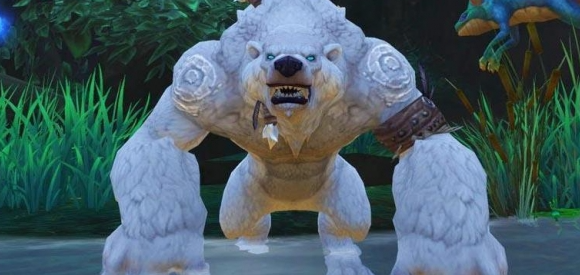 魔兽世界11.0熊德焦点打断宏有哪些1