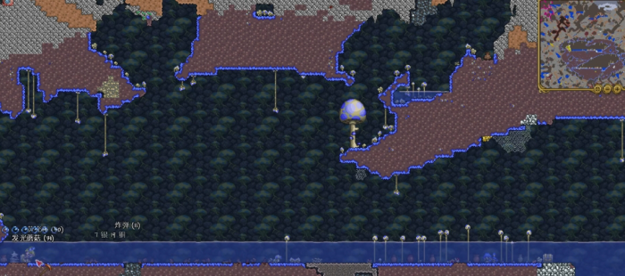 泰拉瑞亚邪恶蘑菇_泰拉瑞亚邪恶蘑菇长啥样