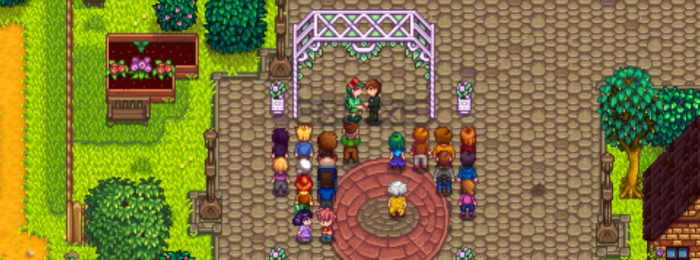 星露谷物语建造婴儿房_星露谷物语礼物攻略