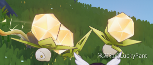 原神别掉地上成就攻略1