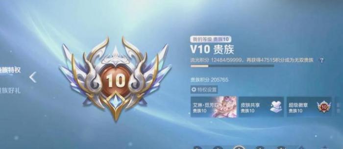 王者荣耀贵族怎么显示2