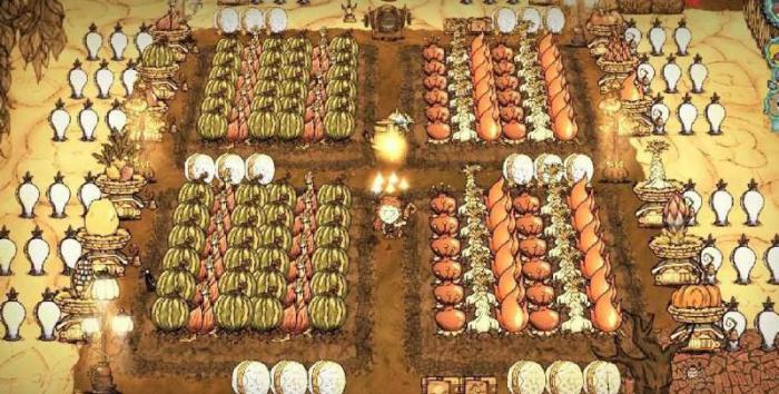 饥荒巨型作物怎么处理2