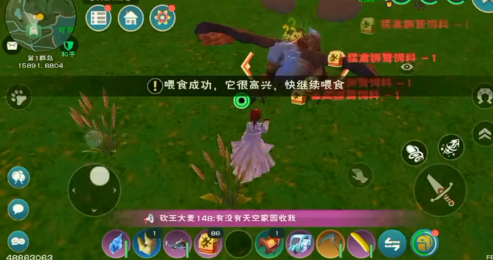 创造与魔法捕捉狮鹫_创造与魔法怎么捕捉狮鹫