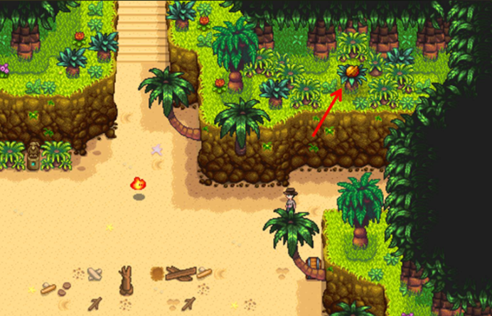 星露谷物语姜岛桥怎么修1