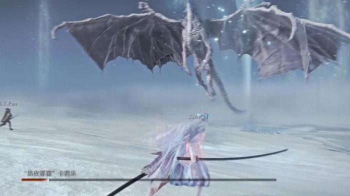 艾尔登法环冰龙_艾尔登法环冰龙打一半消失了