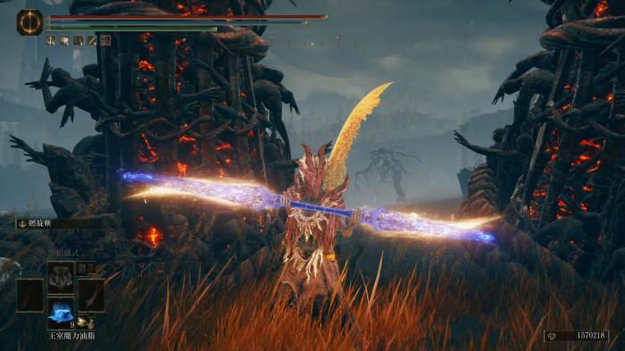 艾尔登法环双持武器玩什么1