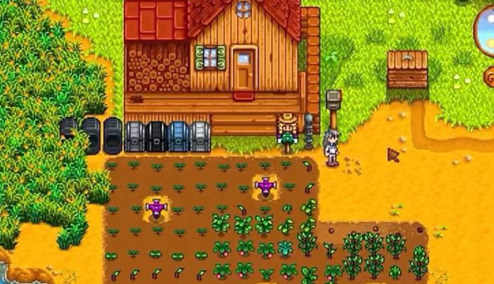 星露谷物语耕作等级怎么升1