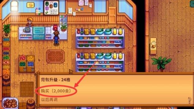 星露谷物语怎么扩展背包2