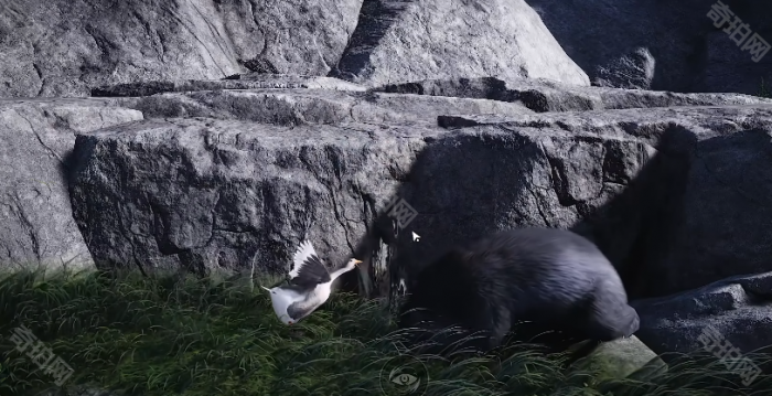 《燕云十六声》奇术以鹅之鸣获取方法5