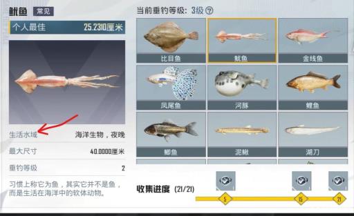 和平精英鱿鱼在哪钓?1