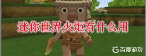 火炬有什么作用1