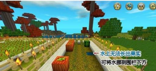 迷你世界南瓜在哪里才能找到?2