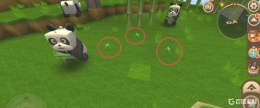 迷你世界驯服熊猫可以干什么?4