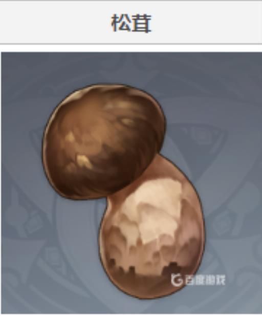 原神松茸商店在哪?2