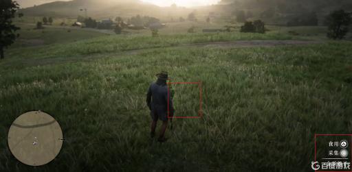 荒野大镖客2蔍子在哪里?2