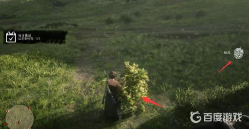 荒野大镖客2树莓在哪?3