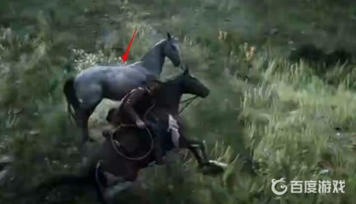 荒野大镖客2怎么驯马?6